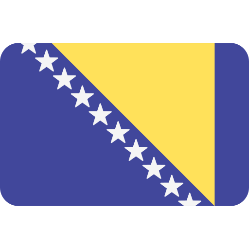 BiH flag